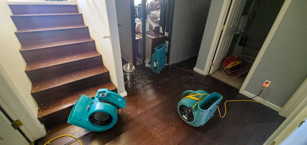 Best Water damage cleanup near me  in Jermyn, PA