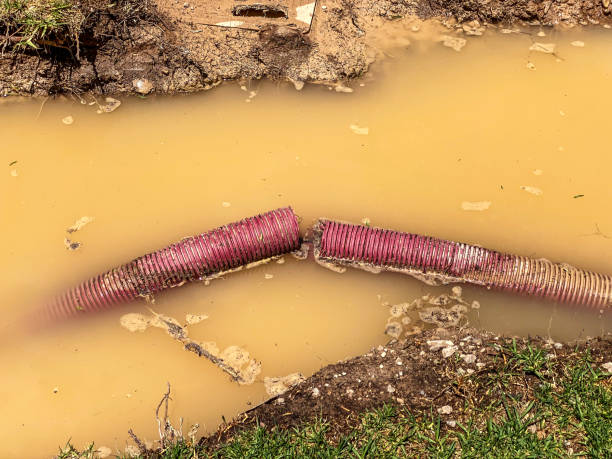 Best Emergency water damage restoration  in Jermyn, PA
