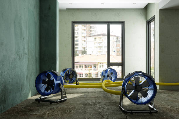 Best Flood restoration services  in Jermyn, PA